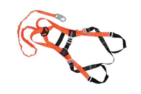 Lanyard harness combo